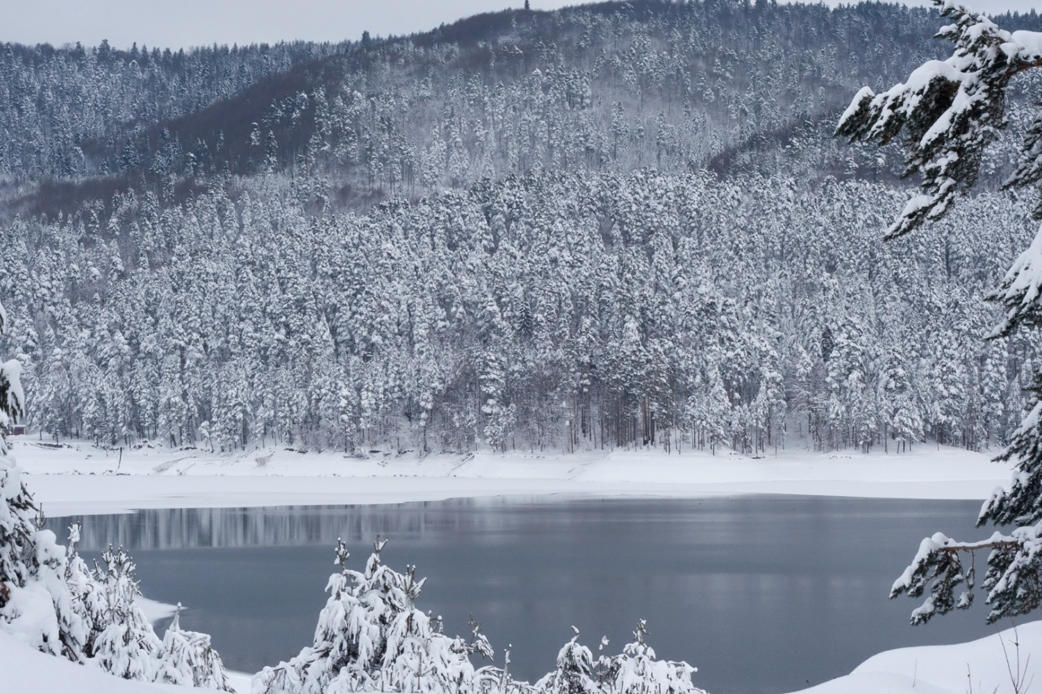 Winter on Sproat Lake