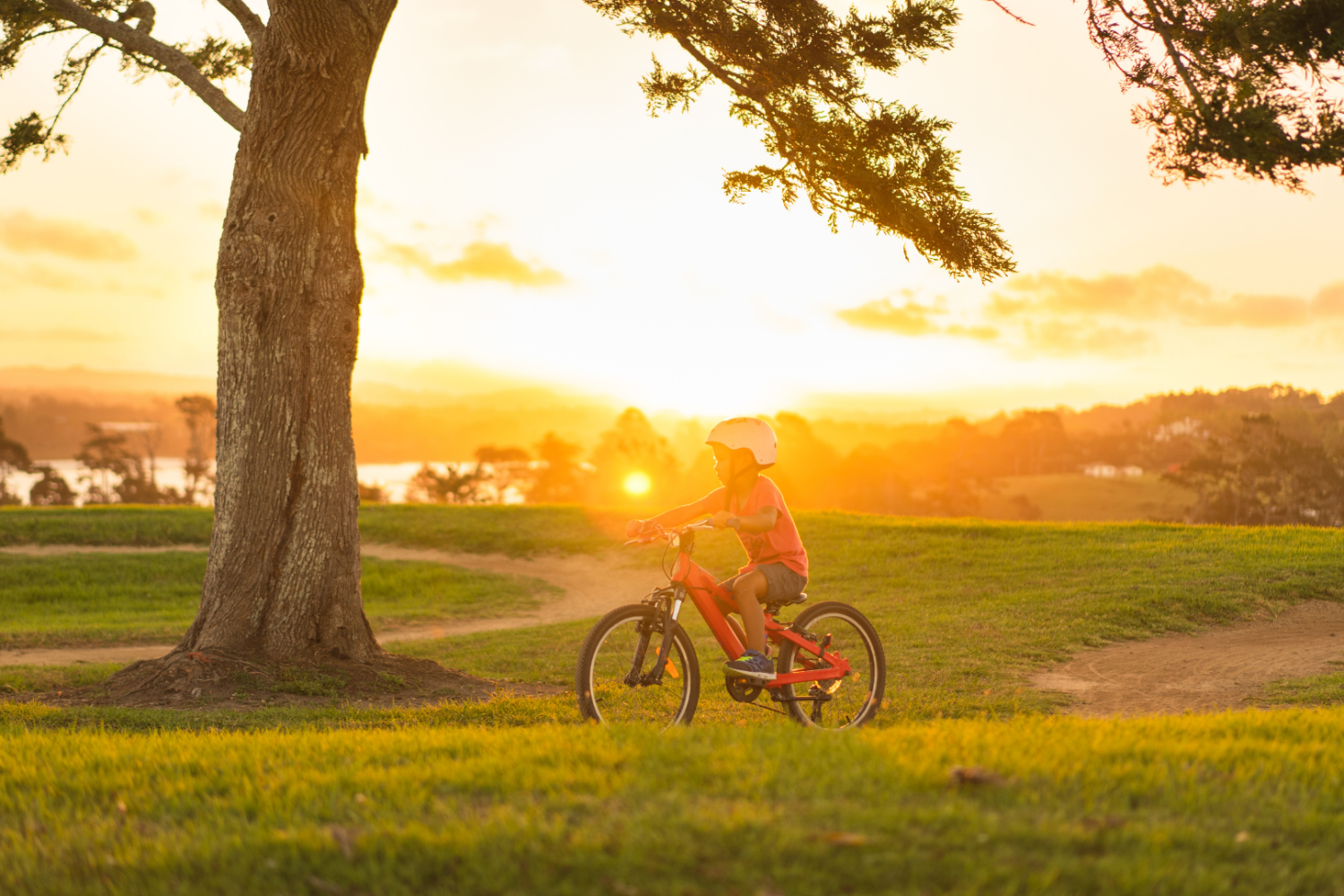 Best Place to Call Home