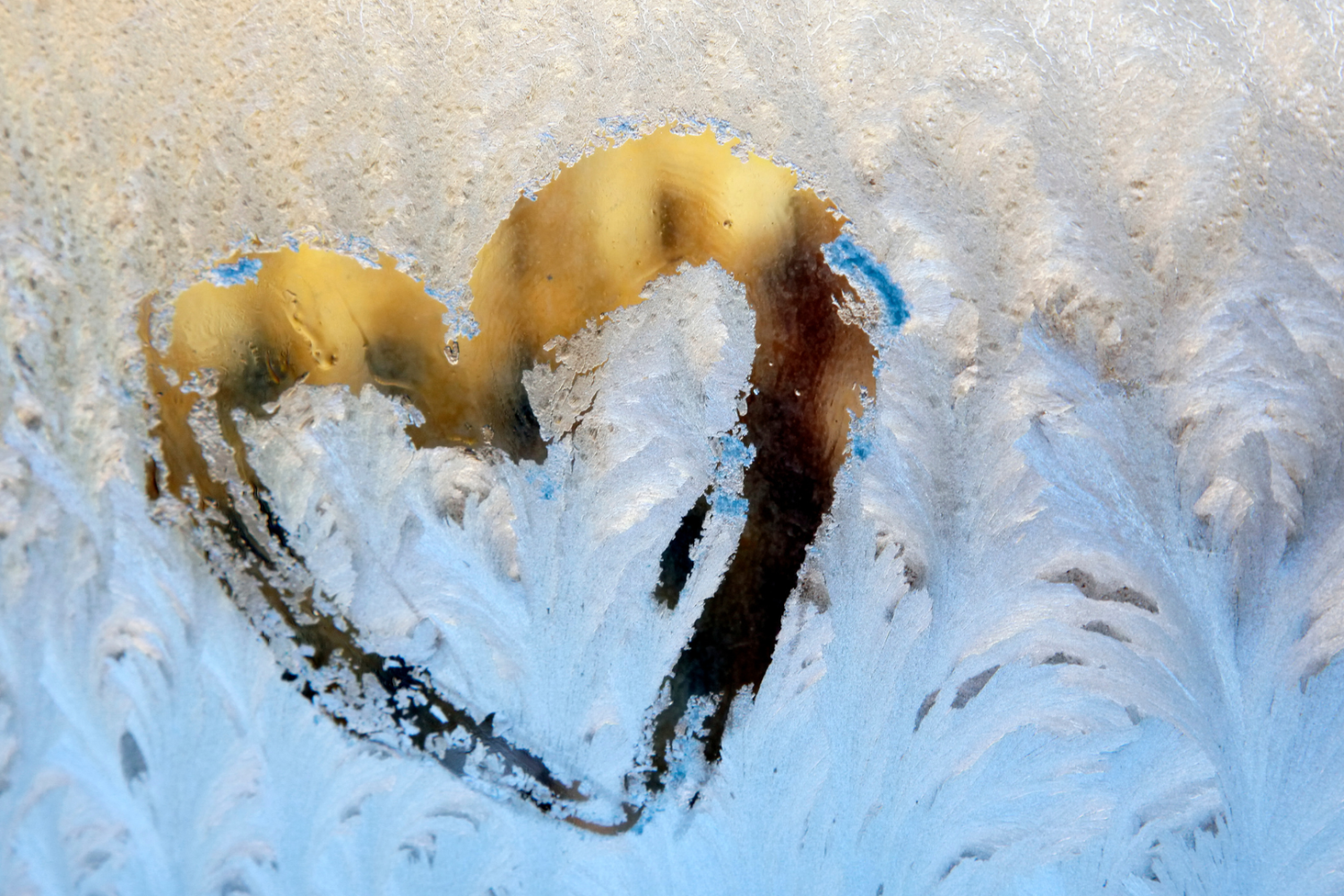 How to Get Your Sproat Lake Home or Cabin Ready for Winter